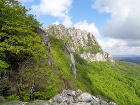 photo coins arrondis